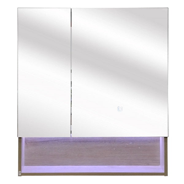 Mueble Botiquín con LED y Espejo para Baño (70x13x80cm)