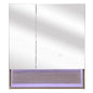 Mueble Botiquín con LED y Espejo para Baño (70x13x80cm)